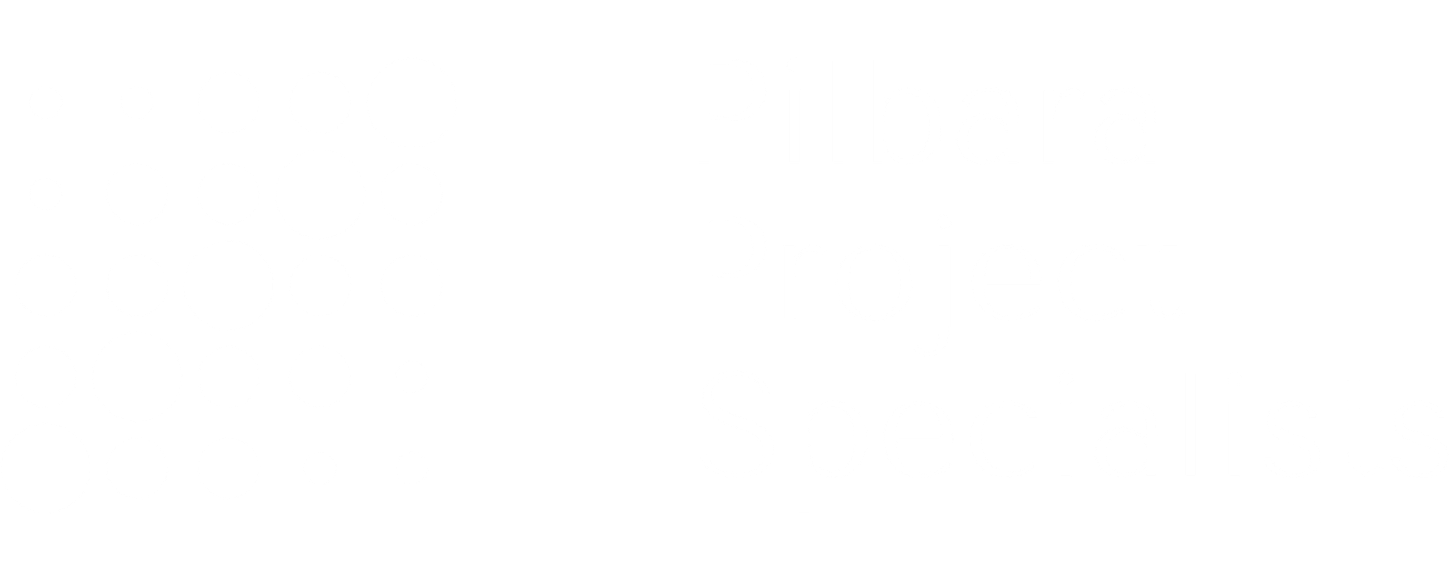 Pilbara Project Specialists